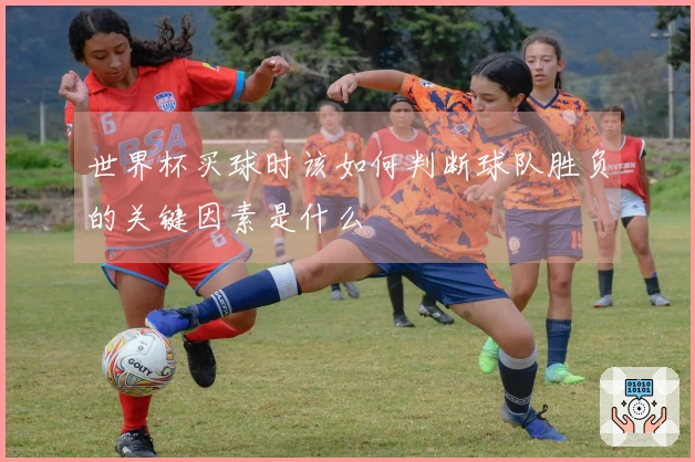 世界杯买球时该如何判断球队胜负的关键因素是什么