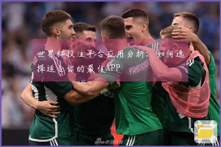 世界杯投注平台应用分析：如何选择适合你的最佳APP
