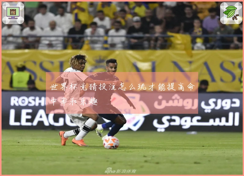 世界杯竞猜投注怎么玩才能提高命中率和乐趣