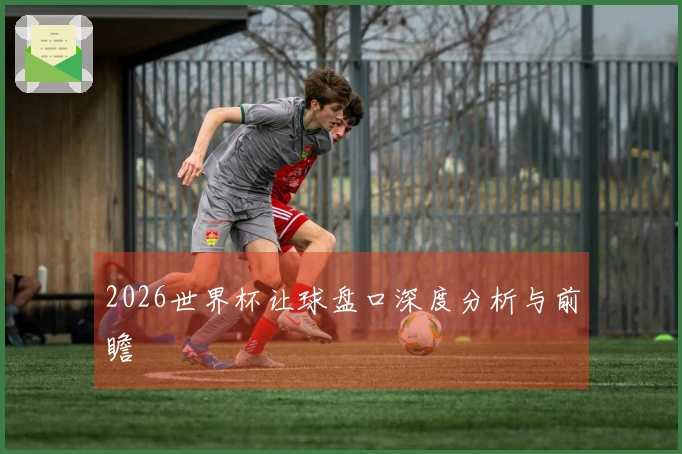 2026世界杯让球盘口深度分析与前瞻