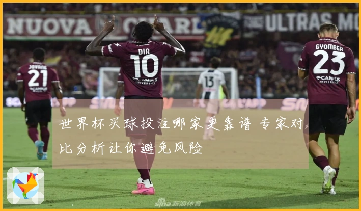 世界杯买球投注哪家更靠谱 专家对比分析让你避免风险