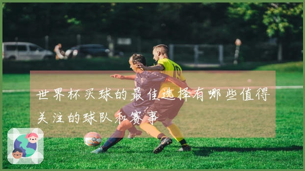 世界杯买球的最佳选择有哪些值得关注的球队和赛事