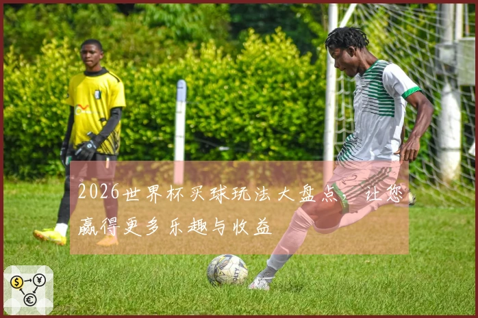 2026世界杯买球玩法大盘点，让您赢得更多乐趣与收益