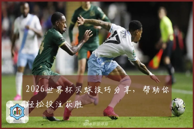 2026世界杯买球技巧分享，帮助你轻松投注获胜