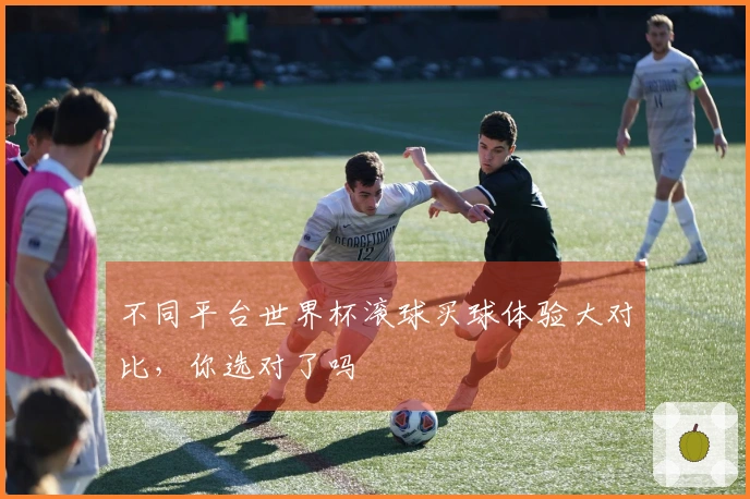 不同平台世界杯滚球买球体验大对比，你选对了吗