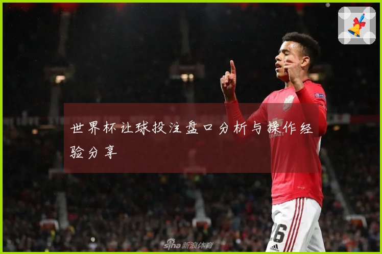 世界杯让球投注盘口分析与操作经验分享