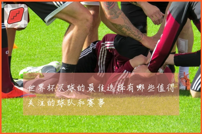 世界杯买球的最佳选择有哪些值得关注的球队和赛事