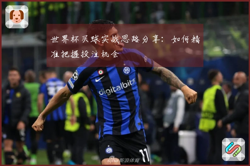 世界杯买球实战思路分享：如何精准把握投注机会