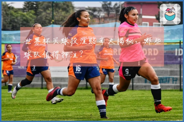 世界杯买球投注赔率大揭秘，哪些球队值得押注？