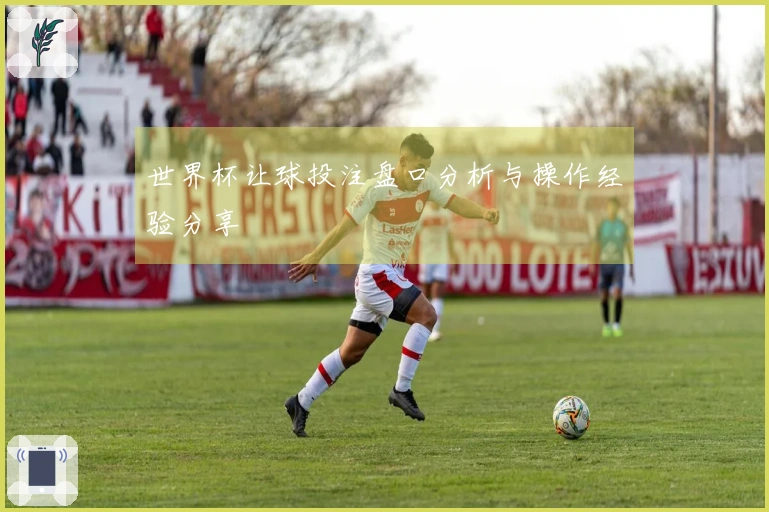 世界杯让球投注盘口分析与操作经验分享